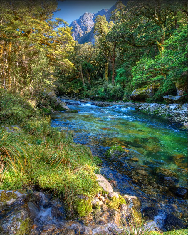Clinton-River-Milford-Track-NZ0132-16x20 copy