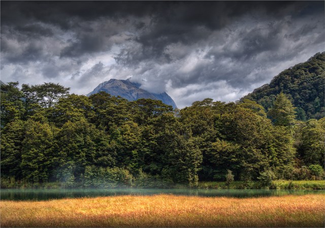 Clinton-River-Milford-Track-NZ079-14x20 copy