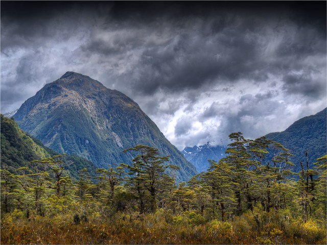 Clinton-Valley-Milford-Track-NZ0103-12x16 copy
