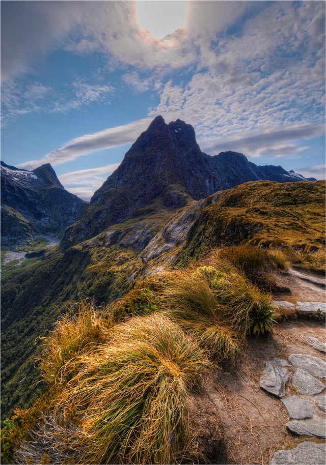 Mackinnon-Pass-Milford-Track-NZ041-14x20 copy
