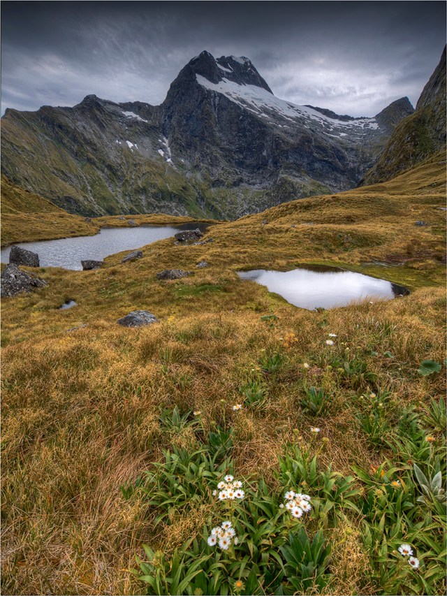 Mackinnon-Pass-Milford-Track-NZ095-12x16 copy