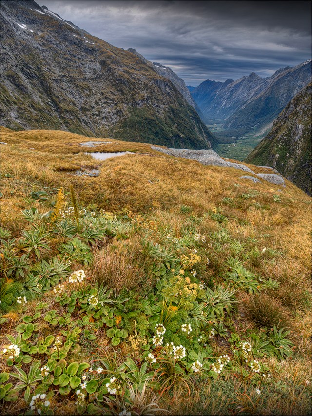 Macmillan-Pass-Milford-Track-NZ0100-12x16 copy
