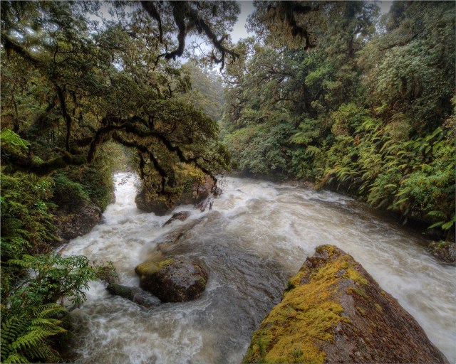 Poseidon-Creek-NZ058-14x20 copy
