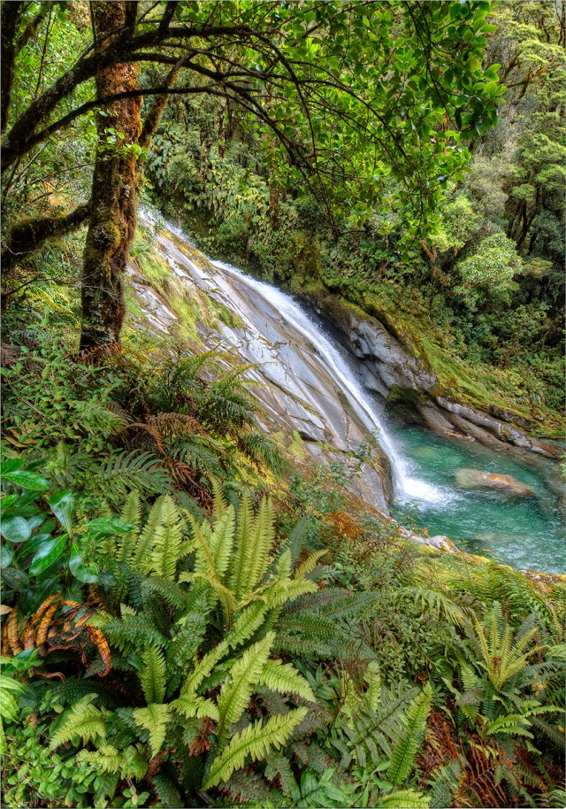 Roaring-Burn-Milford-Track-NZ053-14x20 copy