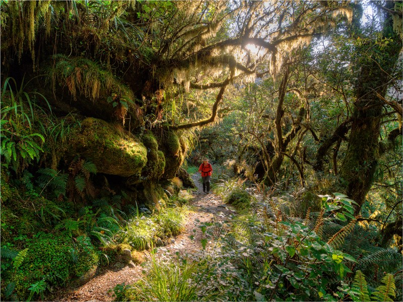 Walking-the-Milford-Track-NZ036-12x16 copy