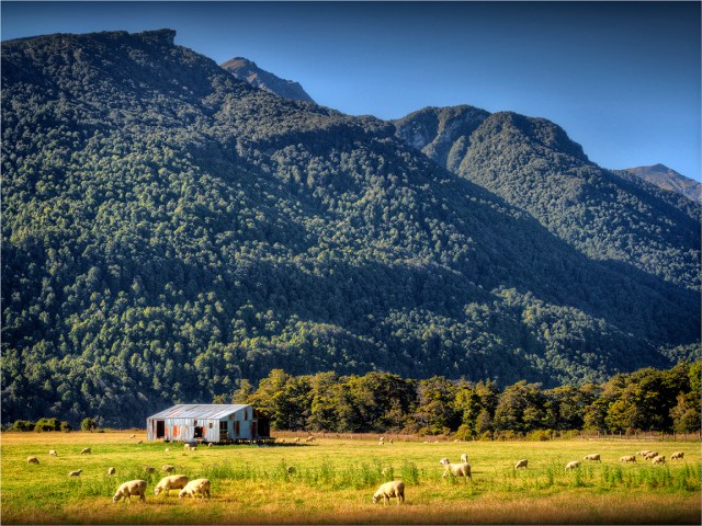 Eglinton-Valley-NZ069-12x16 copy