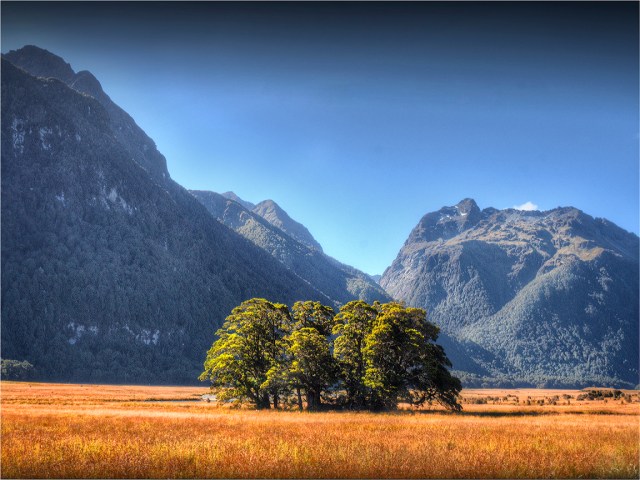 Eglinton-Valley-NZ070-12x16 copy
