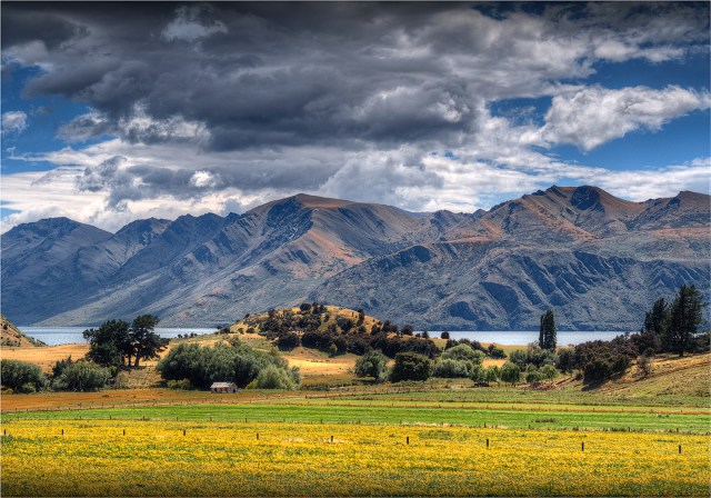 Wanaka-Rural-NZ080-14x20 copy