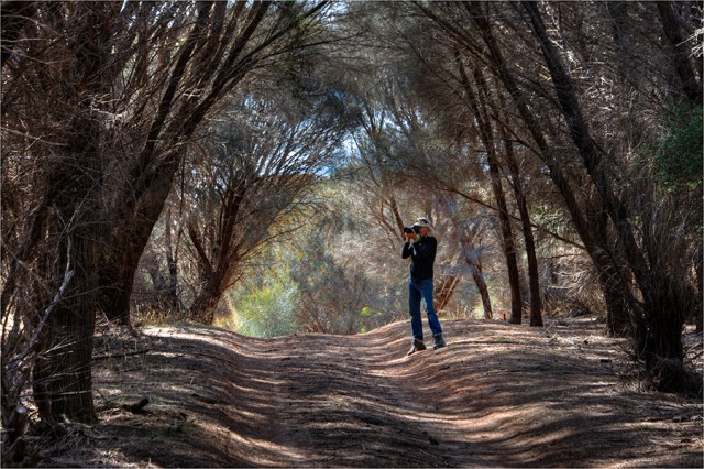 Helen-Dalton-Wybalenna-FI0-16x24