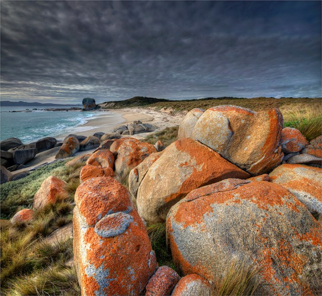 Marshall-Bay-FI0-23x25