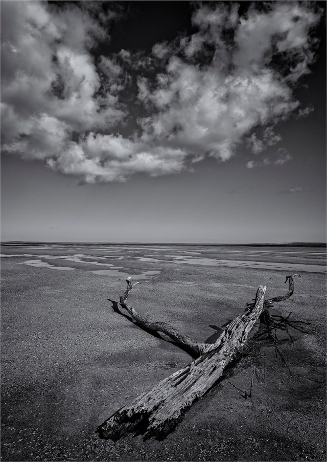 Pat-River-Estuary-FI0M-17x24