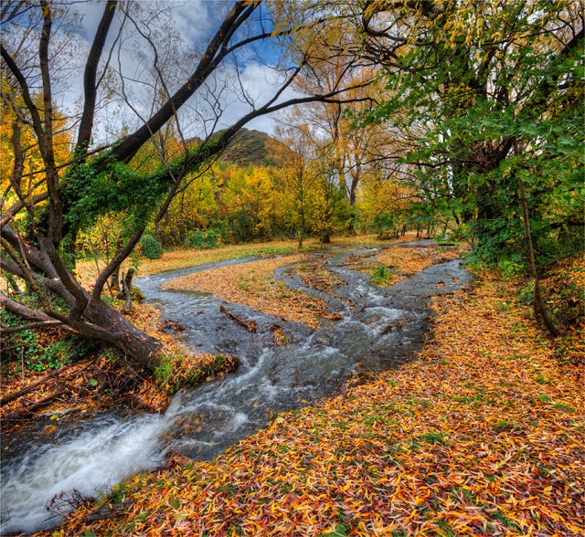Arrowtown-Autumn-NZ0243