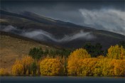 Autumn-Mist-NZ0246-16x24