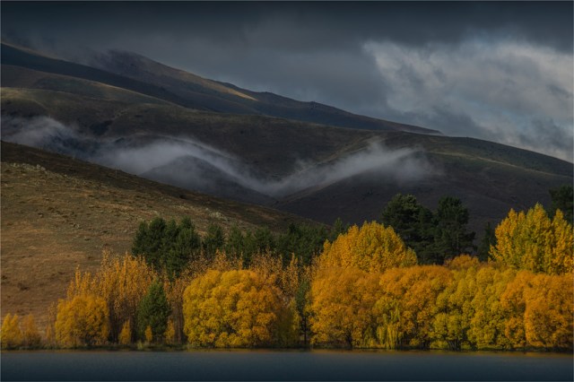 Autumn-Mist-NZ0246-16x24