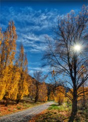 Autumn-Sunstar-NZ0248-18x25