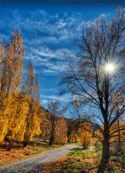 Autumn-Sunstar-NZ0248-18x25