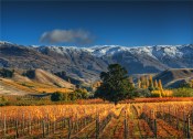 Cromwell-Autumn-NZ0252-18x25