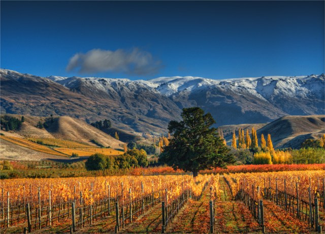 Cromwell-Autumn-NZ0252-18x25