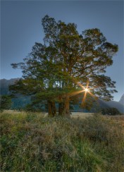 Eglinton-Valley-Sunstar-NZ0256-18x25