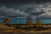 Lake-NZ0273-16x24