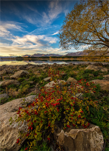 Lake-Tekapo-Autumn-NZ0276-18x25