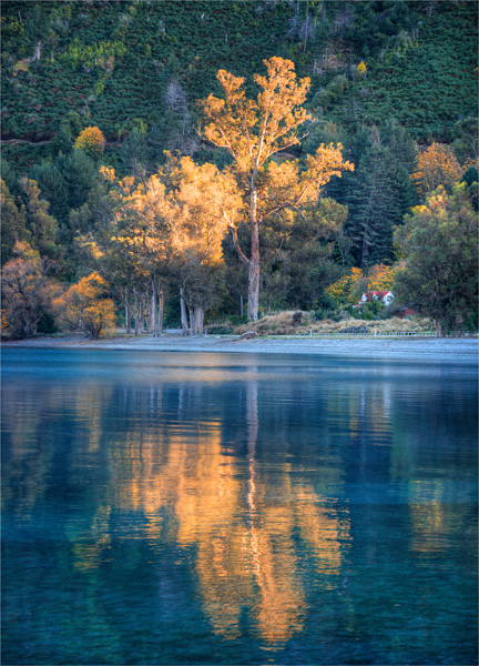 Lake-Wakatipu-Autumn-NZ0283-18x25
