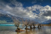 Lake-Wakatipu-Glenorchy-NZ0288-16x24