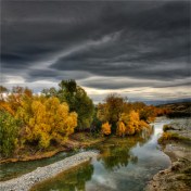 Omakau-Autumn-NZ0310-20x20