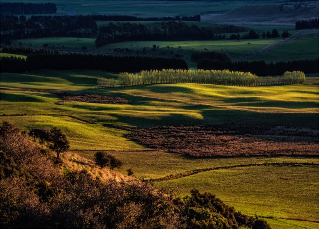 Te-Anau-Rural-Dusk-NZ0322-18x25