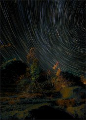 Te-Anau-Startrails-NZ0324-18x25