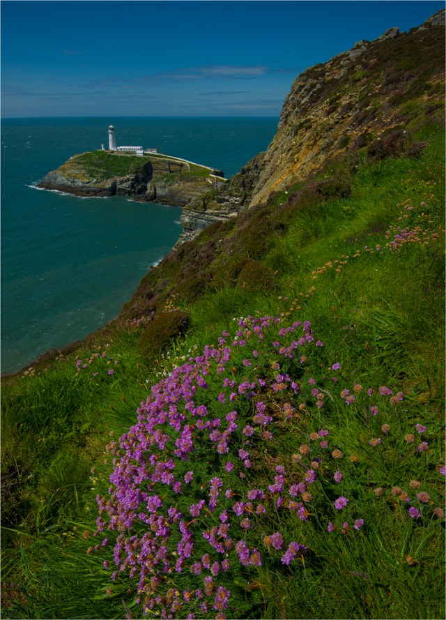 Anglesea-South-Stack-Island-WLS032-18x25 copy