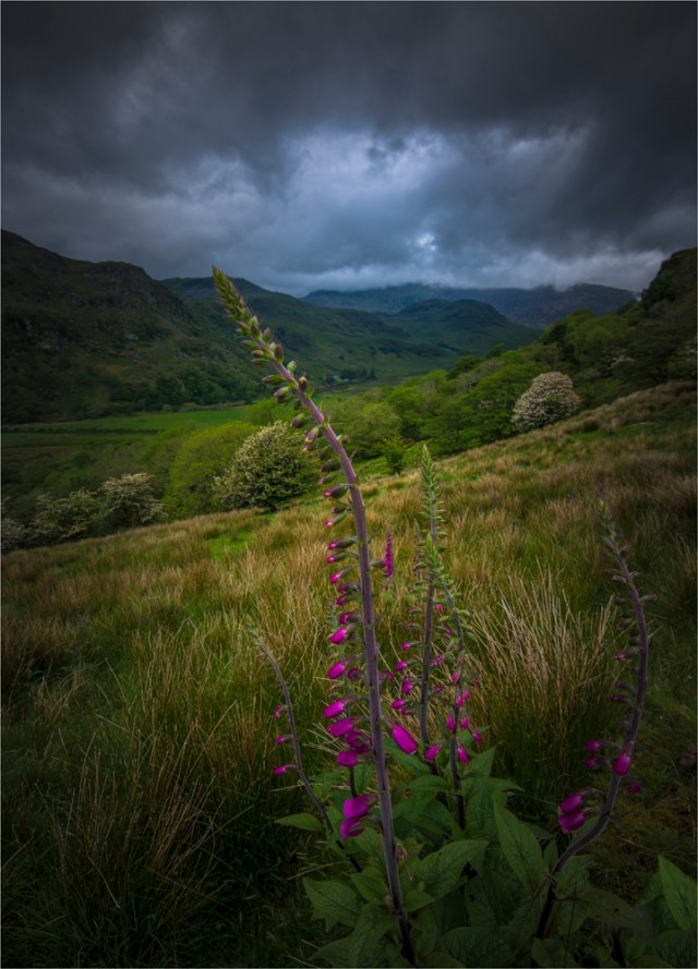 Beddgelert-Valley-View-WLS012-18x25 copy