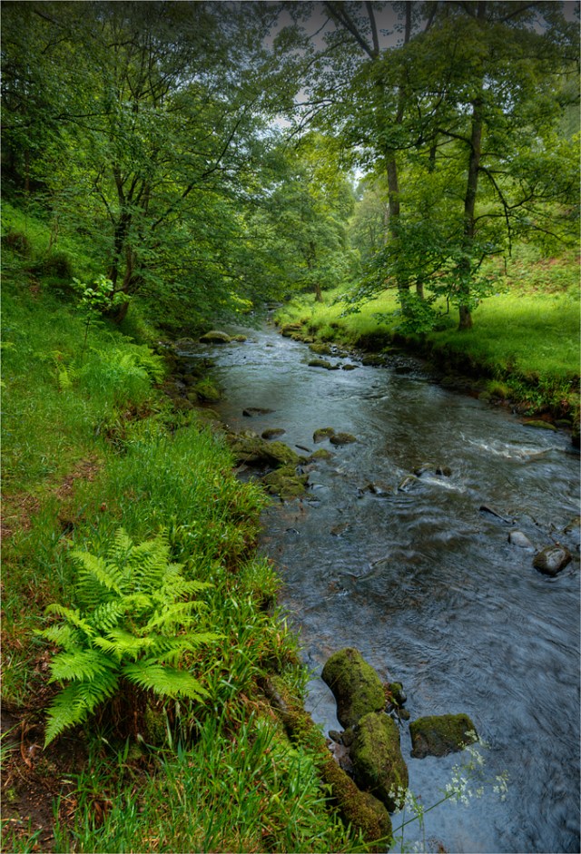 Dane-River-Staffordshire-E0761-17x25