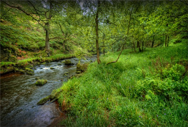 Dane-River-Staffordshire-E0764-17x25