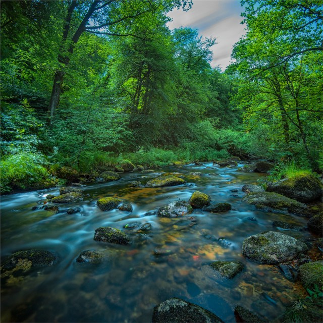 Dart-River-Dartmeet-E025