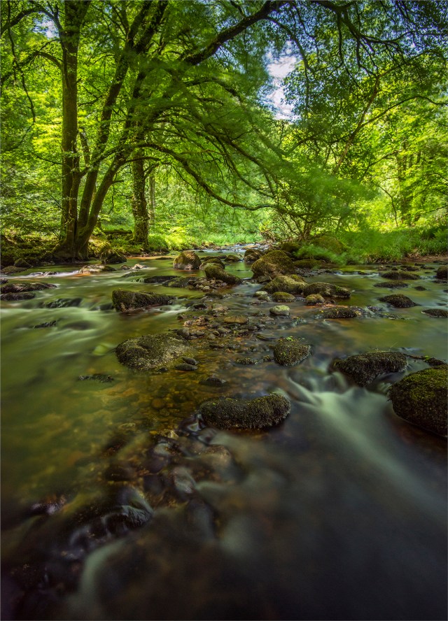 Dart-River-Dartmoor-E07825