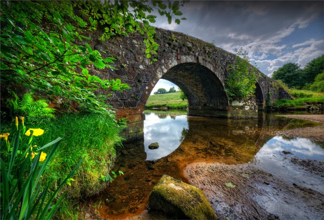 Dart-River-Devon-E0783