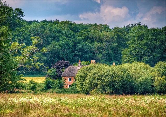 Hampshire-Spring-Rural-E0768