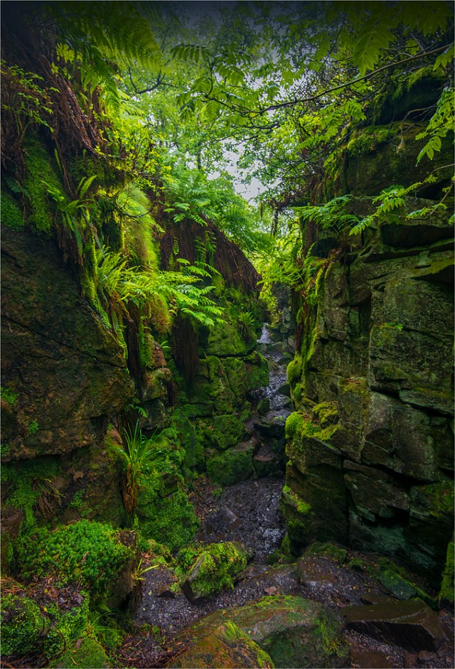 Lud's-Church-Peak-District-E0763-17x25