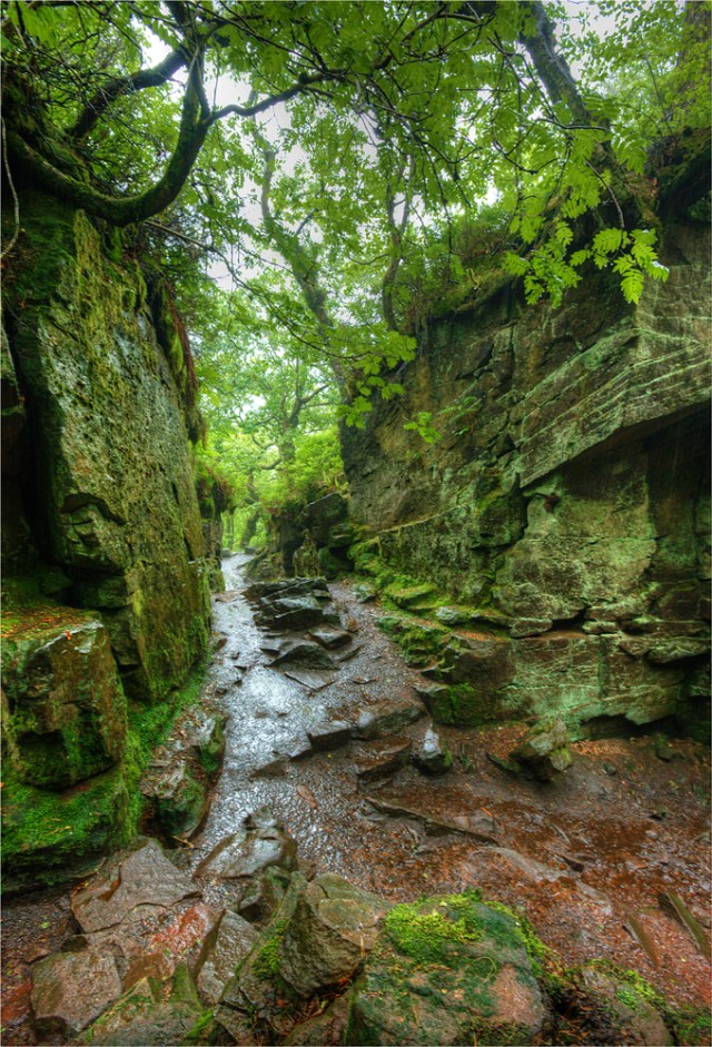 Lud's-Church-Staffordshire-E0762-17x25