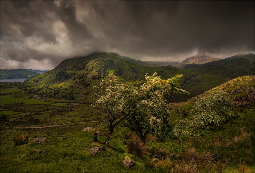 Snowdonia-WLS019-17x25 copy