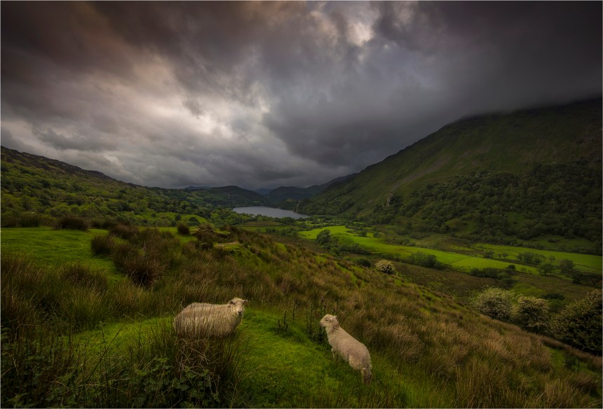 Snowdonia-WLS020-17x25 copy
