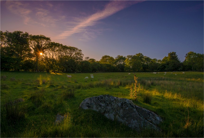 Waunfewr-Dusk-WLS028-17x25 copy