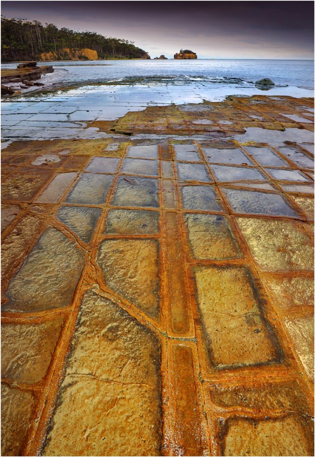 Tessalated-Pavement-Tas097-11x17