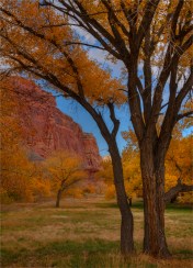 Autumn-Capital-Reef-U55011-18x25