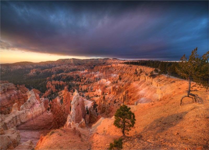 Bryce-Canyon-Dawn-U7703-18x25