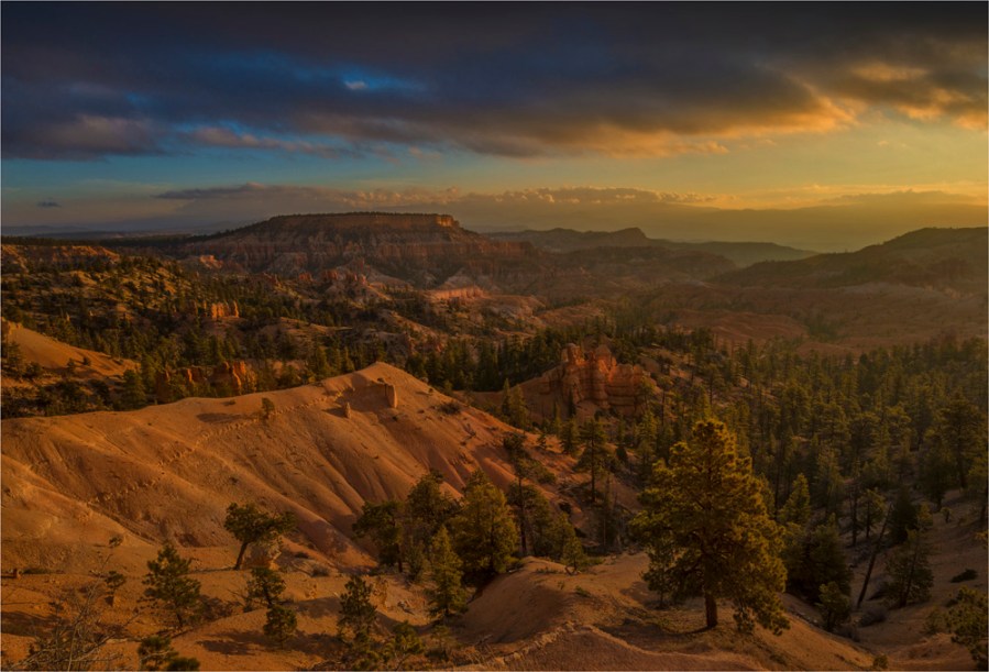 Bryce-Dawn-U102-17x25