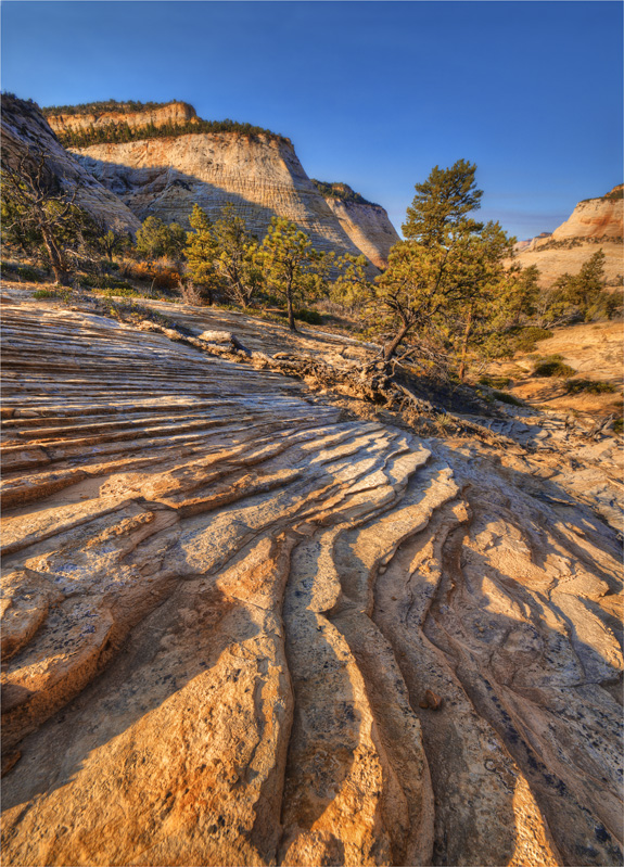 Chequerboard-Mesa-View-Zion-NP-U801-18x25