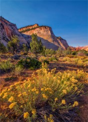 Chequerboard-Mesa-Zion-NP-U8011-18x25