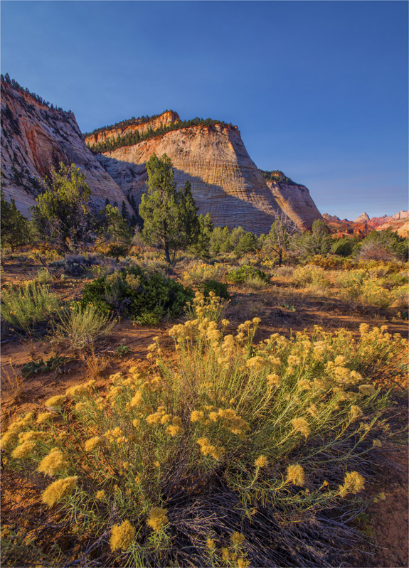 Chequerboard-Mesa-Zion-NP-U8011-18x25